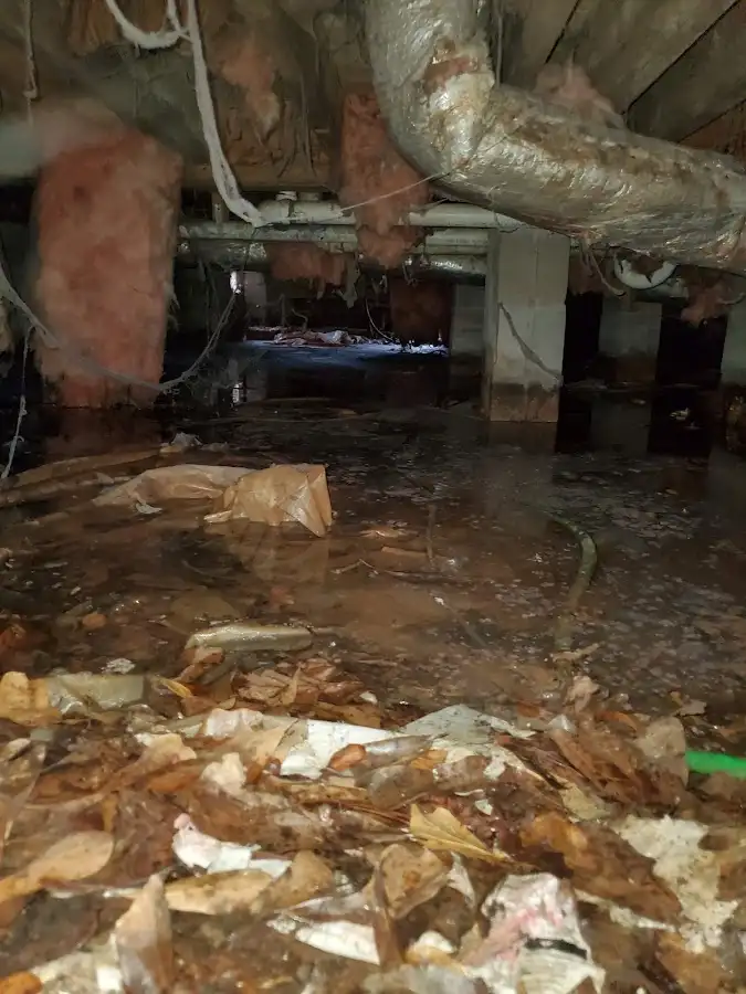 Crawl space flood assessment for Leak Detection & Repair in East Point